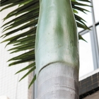 شجرة نخيل ملكية صناعية بلاستيكية بطول 8 م لمنطقة حمام السباحة