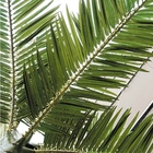 OEM 6m وهمية شجرة النخيل النباتات الأشعة فوق البنفسجية حماية مواد مثبطات اللهب
