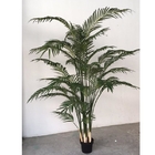 نباتات بونساي اصطناعية من Dypsislutescens ، شجرة نخيل فو أريكا بطول متر واحد