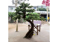 1 متر شجرة بودوكاربوس اصطناعية داخلية ، لا شجرة بونساي اصطناعية ضارة