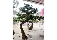 1 متر شجرة بودوكاربوس اصطناعية داخلية ، لا شجرة بونساي اصطناعية ضارة